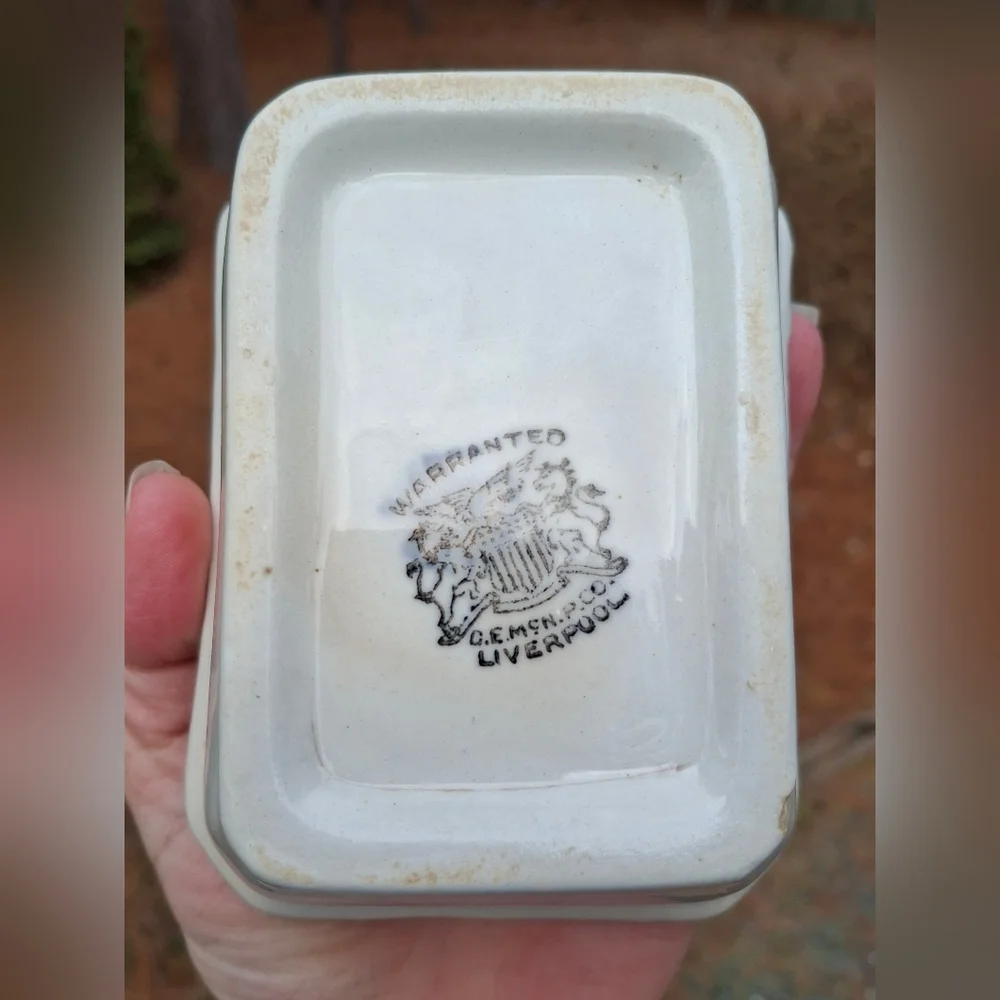 Antique 1892-1910 D.E. McNicol Pottery Co. White Ironstone Soap Box Soap Dish